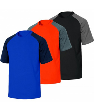 3_genoa